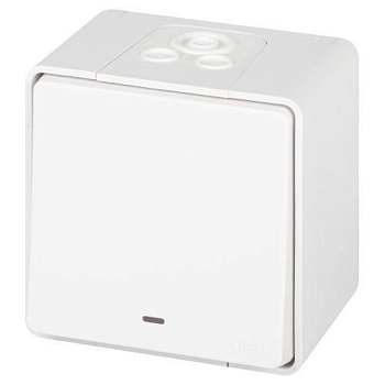 Переключатель Эксперт 11-1507-01 с подсветкой IP55 10АХ-250В ОУ бел. Эра Б0063255