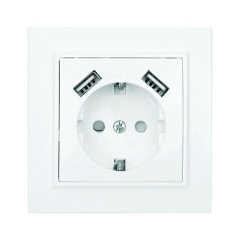 Розетка 1-м СП Минск 16А IP20 с заземл. защ. шторки с 2-мя заряд. устройствами USB 2.1А бел. EKF ERR16-028-100-2USB