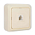 Розетка телефонная 1-м ОП Олимп сл. кость UNIVersal Б-О0034
