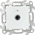 Розетка телевизионная одиночная TV СП Simon24 IP20 механизм бел. Simon 2450477-030