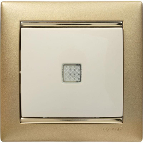 Рамка 1-м Valena матов. зол. Leg 770301