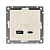 Розетка 2-м USB СП Афина тип А+С 5В 1х2.4А 2х4А механизм слон. кость (ivory) Universal А0059-I