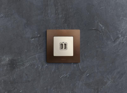 Розетка USB 2-м СП 2мод. Etika 240В/5В 2400мА механизм сл. кость IEK 672394