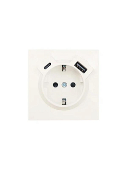 Розетка 1-м СП ZIMA IP20 Type-C + USB с заземл. механизм сл. кость LEZARD 704-9088-181TC