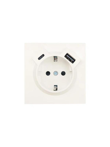 Розетка 1-м СП ZIMA IP20 Type-C + USB с заземл. механизм сл. кость LEZARD 704-9088-181TC