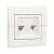 Розетка компьютерная + телефонная 2-м СП Deriy RJ45 + RJ11 IP20 бел. LEZARD 702-0202-143