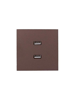 Розетка 2-м СП ZIMA IP20 USB механизм шоколад LEZARD 704-7388-192