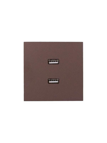 Розетка 2-м СП ZIMA IP20 USB механизм шоколад LEZARD 704-7388-192