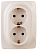 Розетка 2-м СП Эра12 12-2106-02 16А IP20 16AX 250В 2х2P+E Schuko сл. кость Эра Б0031229