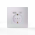 Розетка 1-м СП Pixel с заземл. с 2-мя заряд. устр. USB тип A+C IP20 механизм перламутр. TOKOV ELECTRIC TKE-PX-R1U2AC-C04
