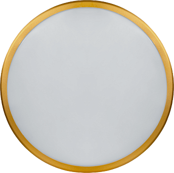 Светильник 80 500 NLF-C-014-02 настенно-потолочный Navigator 80500