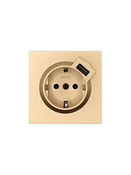 Розетка 1-м СП ZIMA IP20 + USB с заземл. механизм зол. LEZARD 704-3688-181