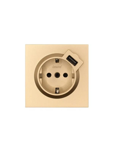 Розетка 1-м СП ZIMA IP20 + USB с заземл. механизм зол. LEZARD 704-3688-181