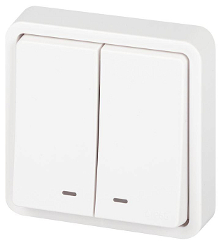 Выключатель Эксперт 11-1525-01 двойн. с подсветкой IP55 10АХ-250В СУ бел. Эра Б0063304