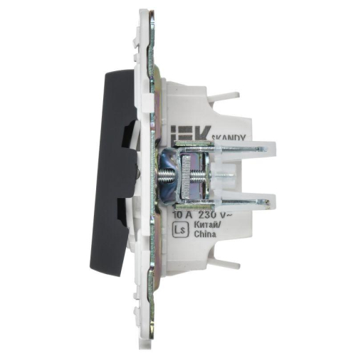 Выключатель 2-кл. SKANDY 10А SK-V16G для отелей с индикацией графит IEK SK-V20-2-10-K53