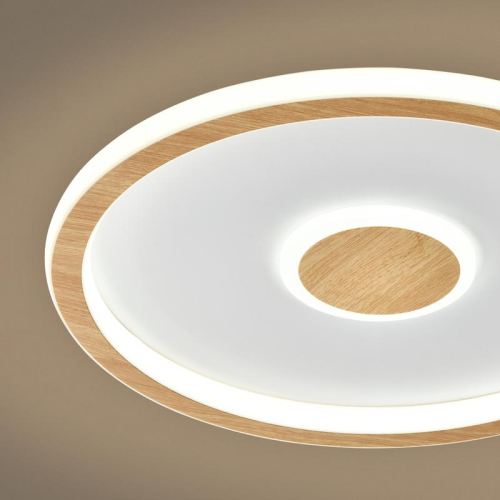 Светильник потолочный Orbit 80Вт 3000-6000К IP20 Freya FR5421CL-L80BG