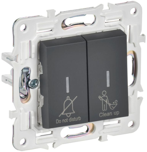 Выключатель 2-кл. SKANDY 10А SK-V16G для отелей с индикацией графит IEK SK-V20-2-10-K53