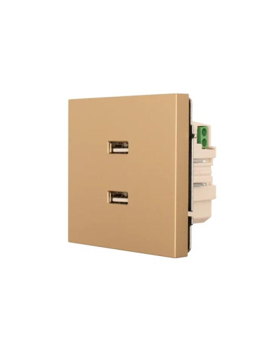 Розетка 2-м СП ZIMA IP20 USB механизм зол. LEZARD 704-3688-192