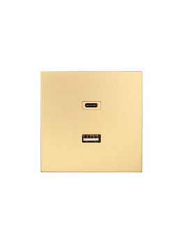 Розетка СП ZIMA IP20 Type-C + USB механизм зол. LEZARD 704-3688-192TC