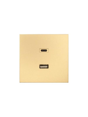 Розетка СП ZIMA IP20 Type-C + USB механизм зол. LEZARD 704-3688-192TC