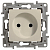 Розетка 1-м СП Etika 16А IP20 250В 2P без заземл. немецк. стандарт винт. клеммы механизм сл. кость Leg 672320