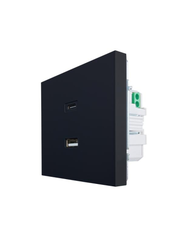 Розетка СП ZIMA IP20 Type-C + USB механизм черн. бархат LEZARD 704-4288-192TC