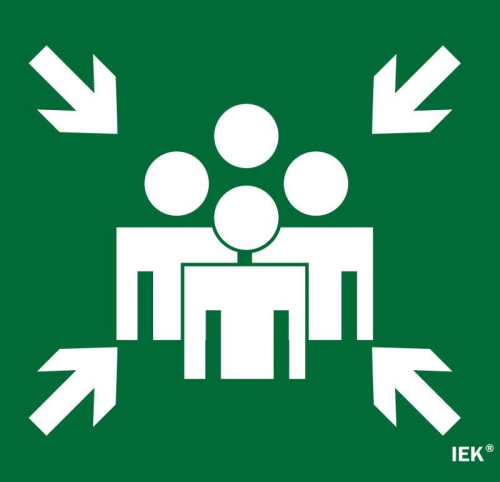 Этикетка самоклеящаяся 310х280мм "Место сбора" IEK LPC10-1-31-28-MSTS