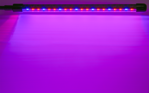 Светильник светодиодный 95 586 NDF-FITO-C01-02-40W-BL 40Вт IP40 на прищепке с таймером для растений красн./син. спектра Navigator 95586