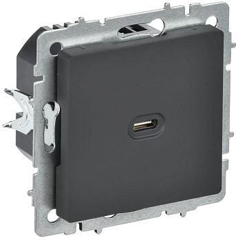 Розетка СП BRITE USB C 65Вт высокоскор. заряд. РЮ12-1-БрГ графит IEK BR-U13-065-K53