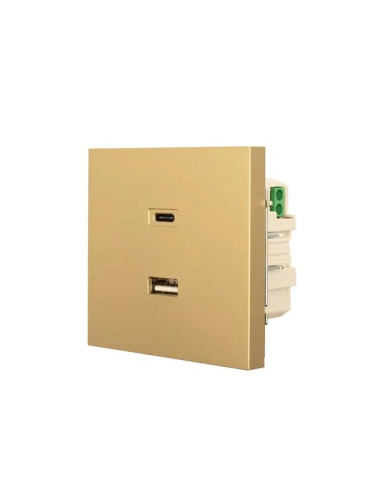 Розетка СП ZIMA IP20 Type-C + USB механизм зол. LEZARD 704-3688-192TC