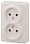 Розетка 2-м ОП Эра Эксперт 11-2202-02 16А IP20 250В 2х2P сл. кость Эра Б0020683
