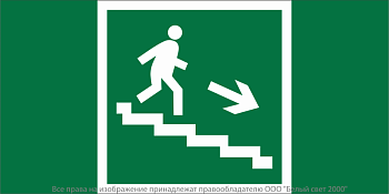 Знак безопасности NPU-2110.E13 "Направление к эвакуационному выходу по лестнице вниз (правосторонний)" Белый свет a11854