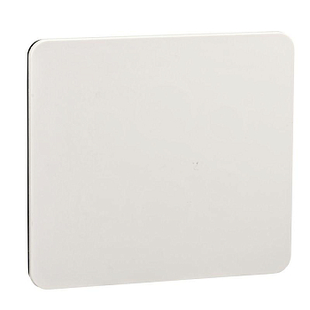 Плата для отверстия 90х100 для кнопок SchE 13138