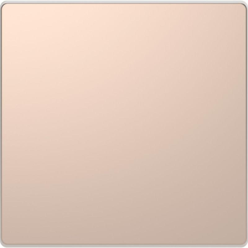 Заглушка Merten D-Life SD шампань SchE MTN4075-6051