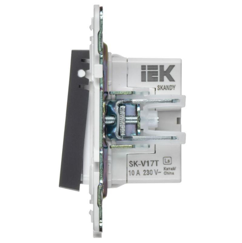 Кнопка звонка SKANDY 10А SK-V17T для отелей с индикацией титан IEK SK-V14-2-10-K48