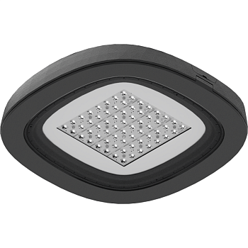 Светильник светодиодный SKYLINE LED/CAT 60W DS1 730 RAL9006 СТ 1707001240