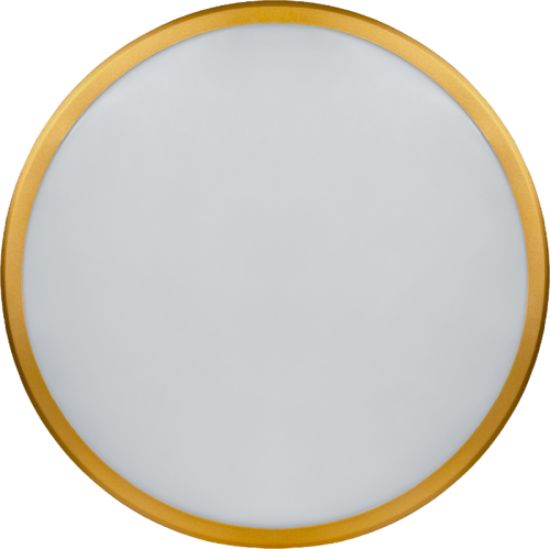 Светильник 80 500 NLF-C-014-02 настенно-потолочный Navigator 80500